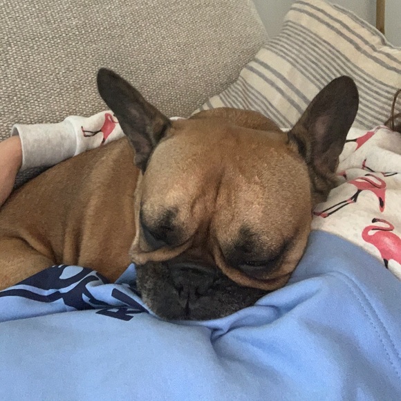 Meet your Posher, Mark - Picture 1 of 1